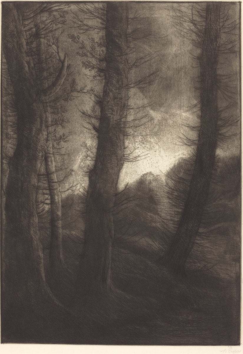Large Trees Seen against the Sun  (Les grandes arbres: Effet du soir) by Alphonse Legros (French, 1837 - 1911), 16X12"(A3)Poster Print