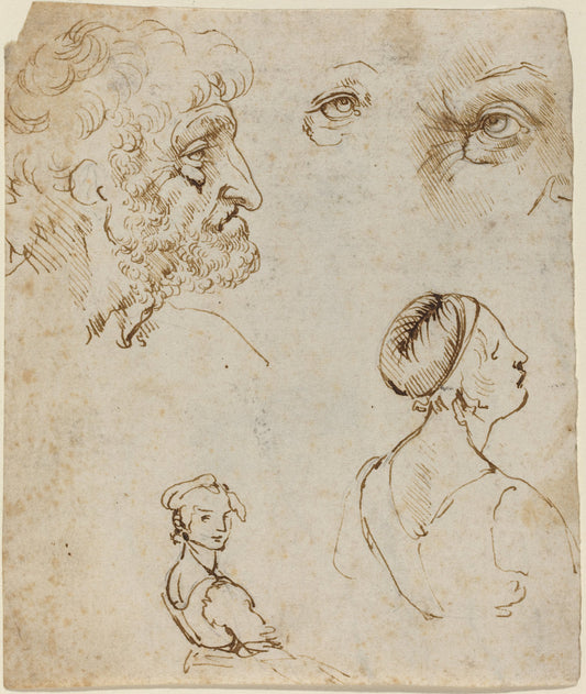 Sheet of Studies [recto] by Leonardo da Vinci (Florentine, 1452 - 1519), 16X12"(A3)Poster Print