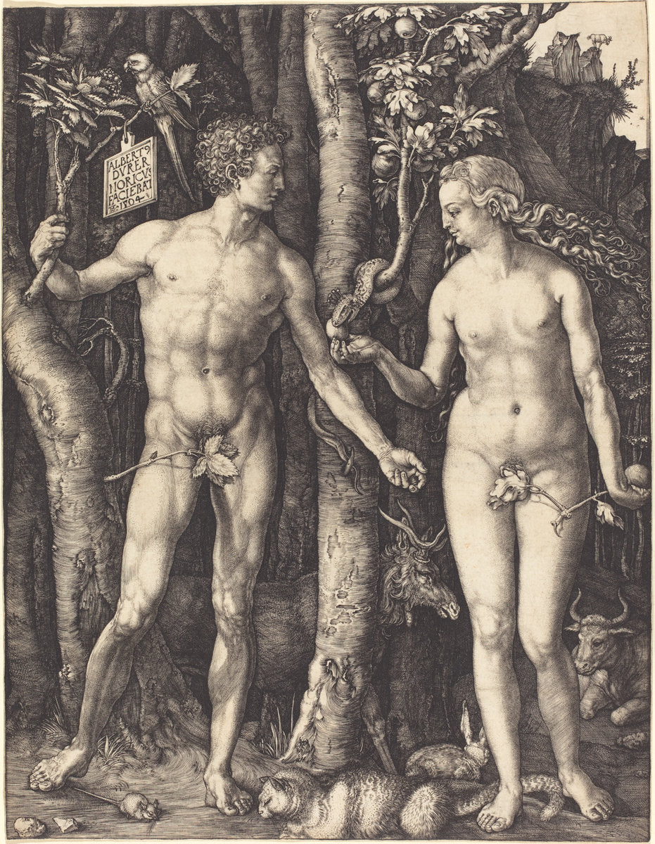 Adam and Eve by Albrecht Dürer (German, 1471 - 1528), 16X12"(A3)Poster Print