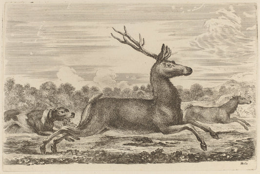 Deer Chased by Two Dogs to the Left by Stefano Della Bella (Italian, 1610 - 1664), 16X12"(A3)Poster Print