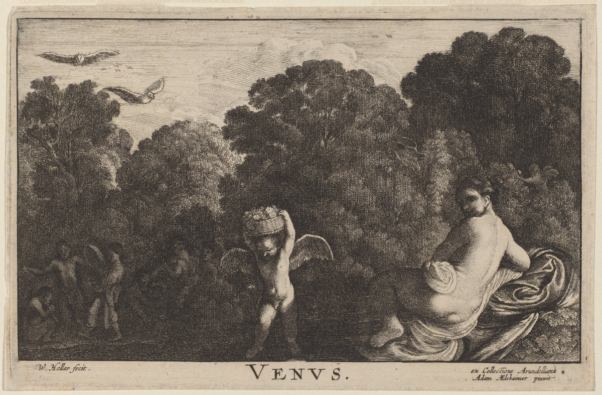 Venus by Wenceslaus Hollar (after Adam Elsheimer) (Bohemian, 1607 - 1677), 16X12"(A3)Poster Print