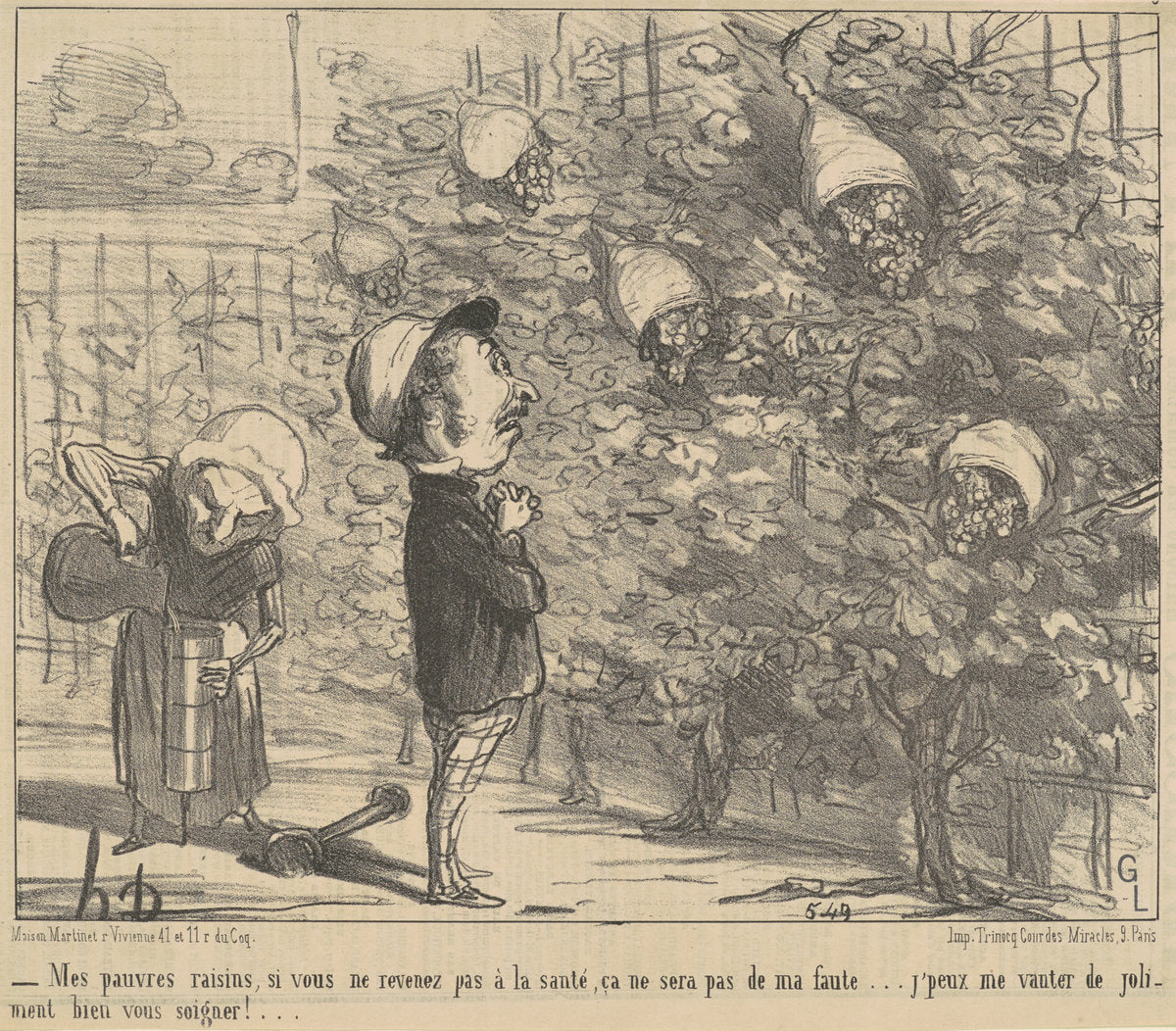 Mes pauvres raisons, si vous ne revenez pas à la sauté... by Honoré Daumier (French, 1808 - 1879), 16X12"(A3)Poster Print