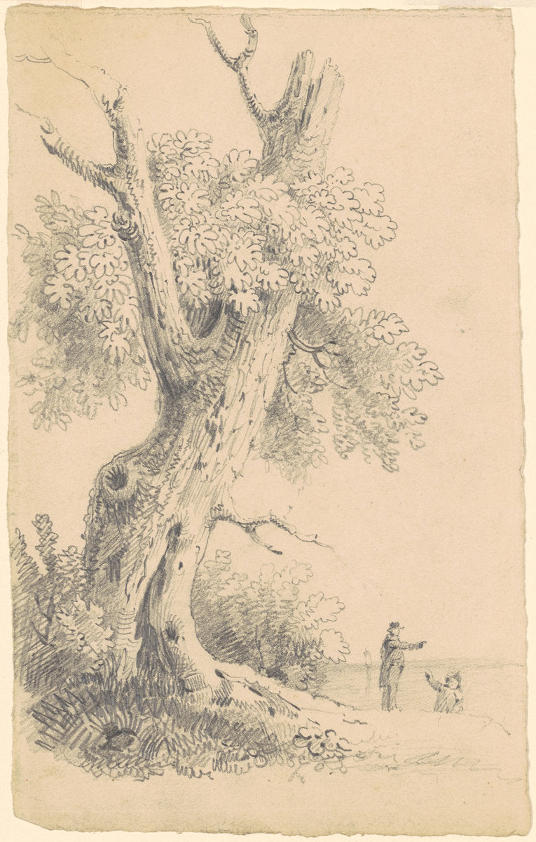 Tree Near the Shore by James Goodwyn Clonney (American, 1812 - 1867), 16X12"(A3)Poster Print