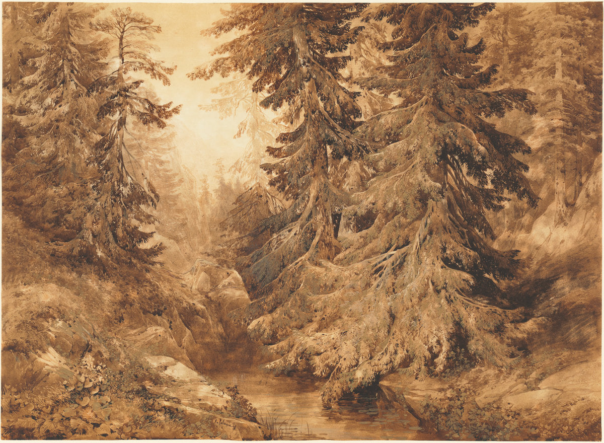 An Ancient Pine Forest with a Mountain Stream by Alexandre Calame (Swiss, 1810 - 1864), 16X12"(A3)Poster Print