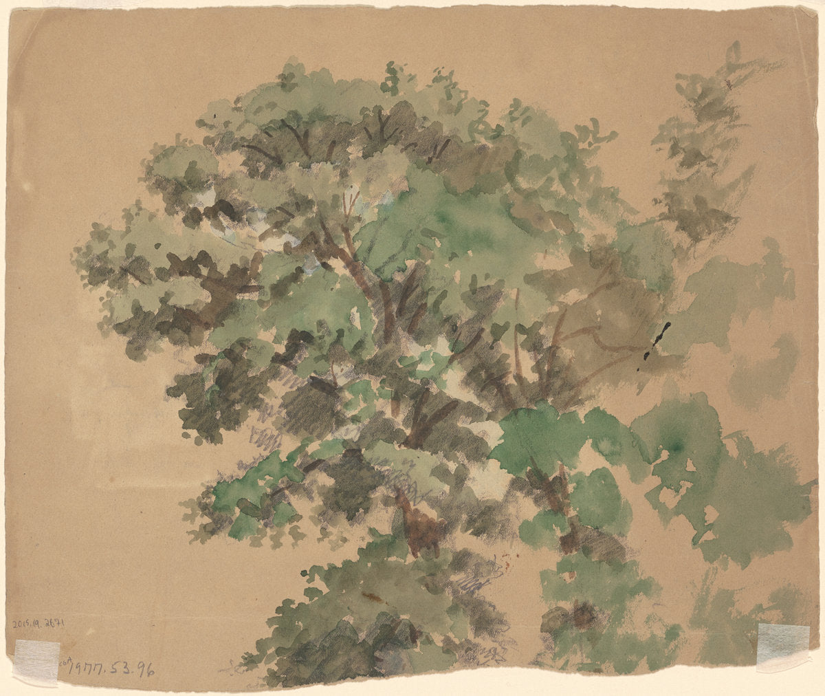 Tree [verso] by Enoch Wood Perry, Jr. (American, 1831 - 1915), 16X12"(A3)Poster Print