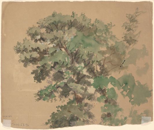 Tree [verso] by Enoch Wood Perry, Jr. (American, 1831 - 1915), 16X12"(A3)Poster Print