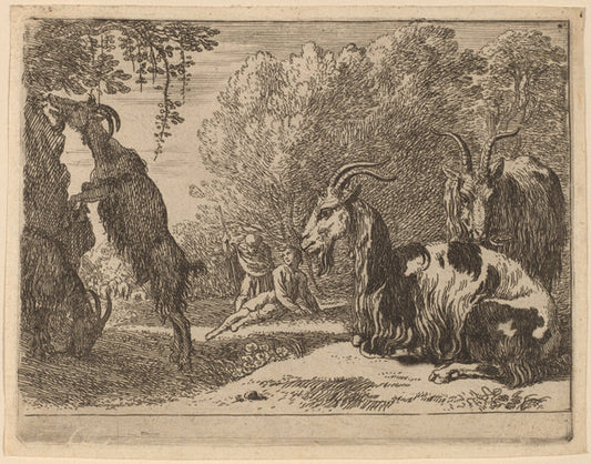 Goats by Herman van Swanevelt (Dutch, c. 1600 - 1655), 16X12"(A3)Poster Print
