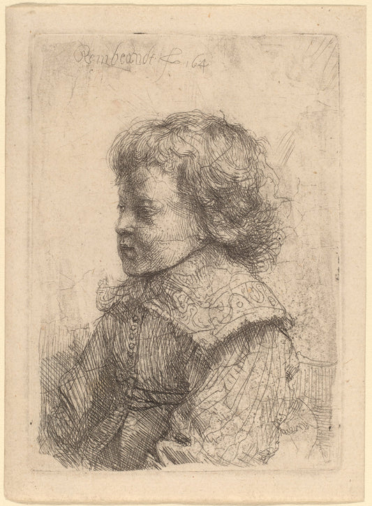 Portrait of a Boy in Profile by Rembrandt van Rijn (Dutch, 1606 - 1669), 16X12"(A3)Poster Print