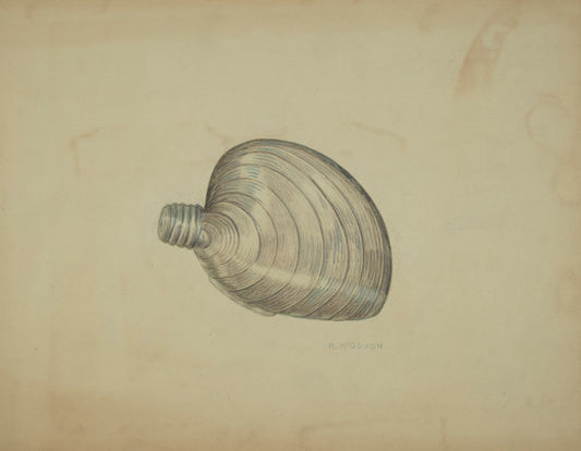 Shell Shaped Flask by Raymond McGough (American, active c. 1935), 16X12"(A3)Poster Print