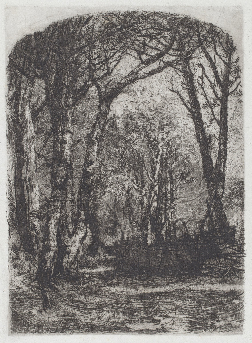 Woods [Bosco] by Mosè di Giosuè Bianchi (Italian, 1840 - 1904), 16X12"(A3)Poster Print