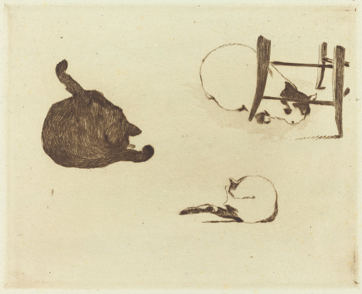 The Cats (Les chats) by Edouard Manet (French, 1832 - 1883), 16X12"(A3)Poster Print