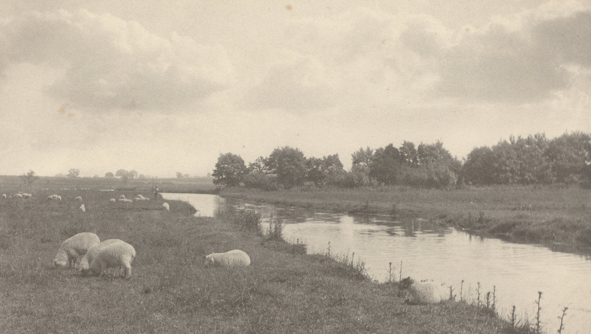 On the River Bure by Peter Henry Emerson (British, 1856 - 1936), 16X12"(A3)Poster Print