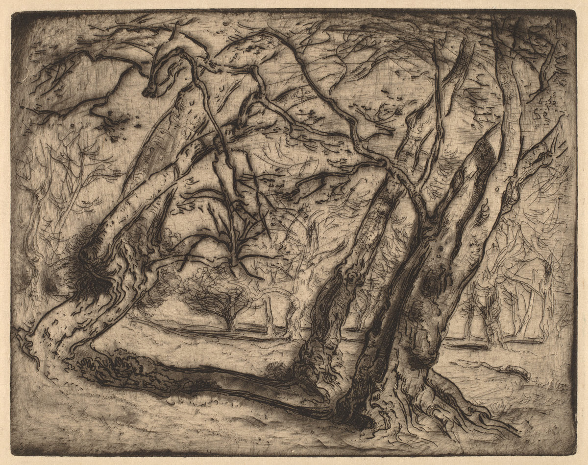 Untitled (Wooded Landscape) by Samuel Colman (American, 1832 - 1920), 16X12"(A3)Poster Print