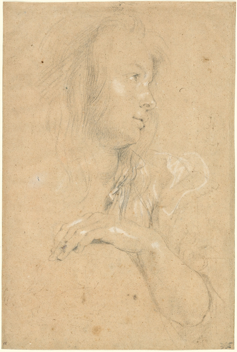 Young Woman in Profile by Sir Peter Paul Rubens (Flemish, 1577 - 1640), 16X12"(A3)Poster Print