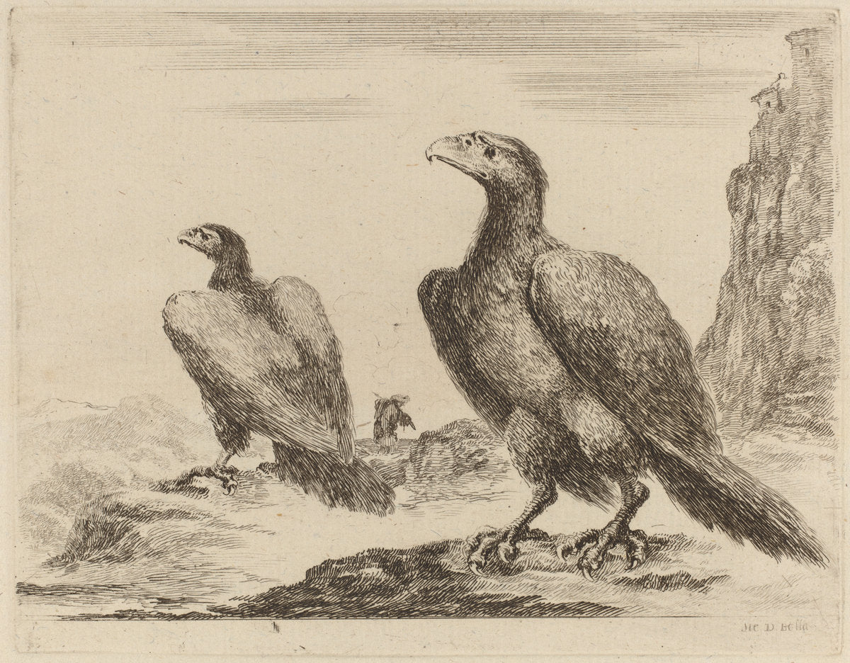 Two Eagles, Both with Heads Turned to the Left, On a High Cliff by Stefano Della Bella (Italian, 1610 - 1664), 16X12"(A3)Poster Print