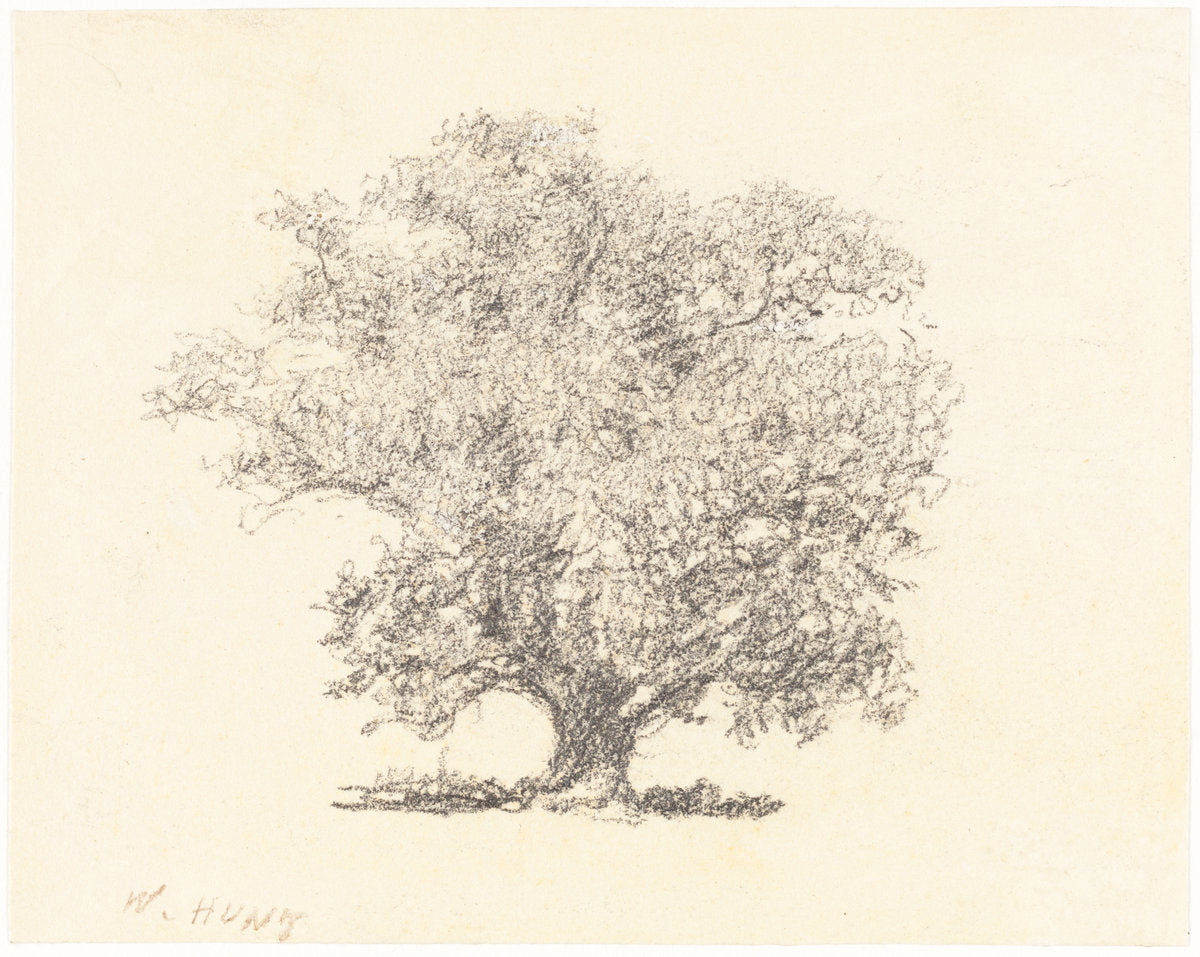 A Tree in Full-Leaf by William Henry Hunt (British, 1790 - 1864), 16X12"(A3)Poster Print