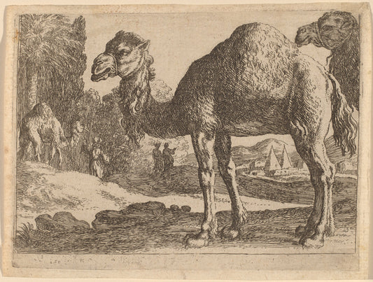 Camels by Herman van Swanevelt (Dutch, c. 1600 - 1655), 16X12"(A3)Poster Print