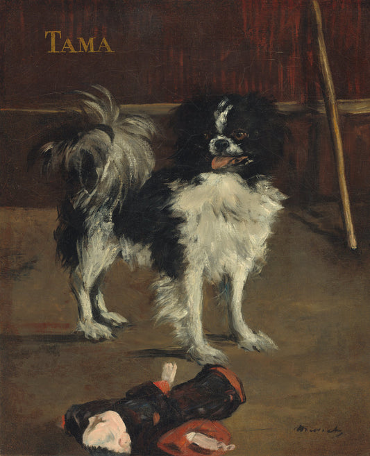 Tama, the Japanese Dog by Edouard Manet (French, 1832 - 1883), 16X12"(A3)Poster Print