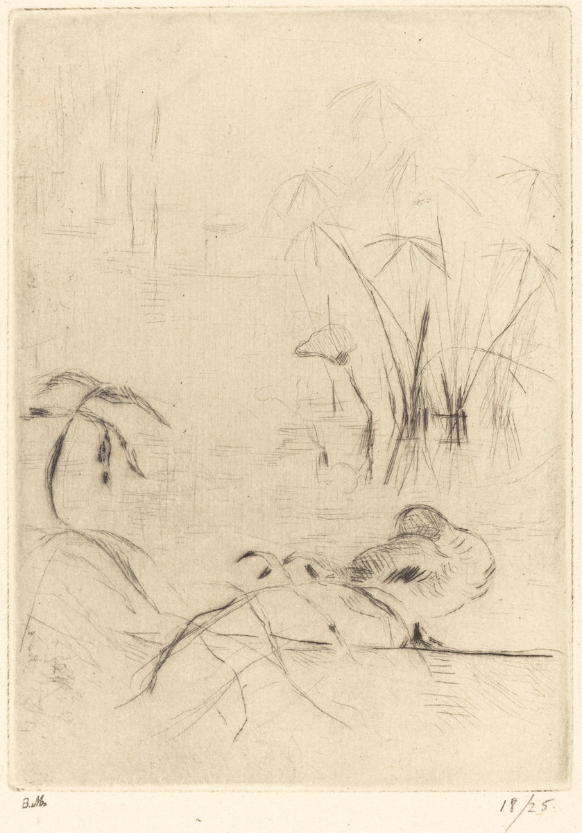 Ducks at Rest on the Bank by Berthe Morisot (French, 1841 - 1895), 16X12"(A3)Poster Print