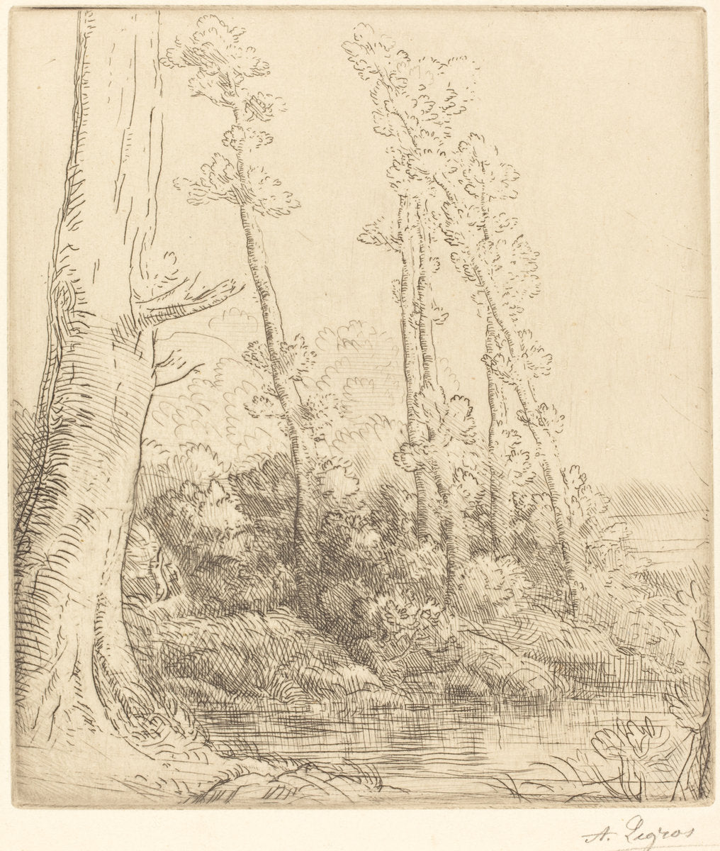 Little Pond (La petite mare) by Alphonse Legros (French, 1837 - 1911), 16X12"(A3)Poster Print