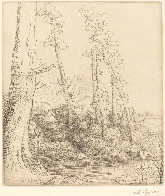 Little Pond (La petite mare) by Alphonse Legros (French, 1837 - 1911), 16X12"(A3)Poster Print