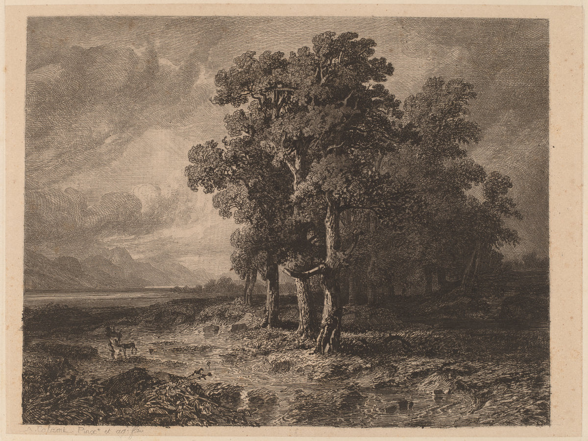 Trees in a Storm by Alexandre Calame (Swiss, 1810 - 1864), 16X12"(A3)Poster Print