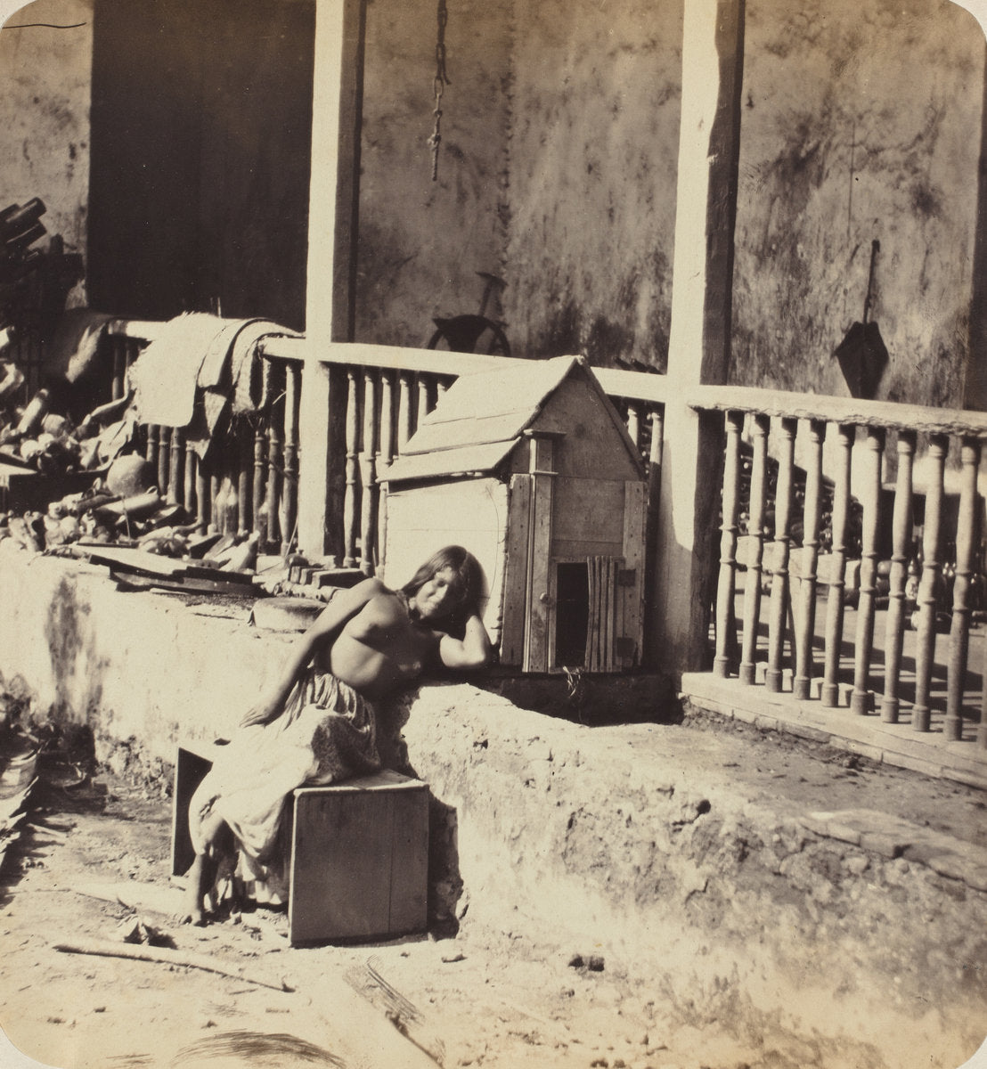 Chien de Garvel (Martinique) by Paul Emile Miot (French, 1827 - 1900), 16X12"(A3)Poster Print
