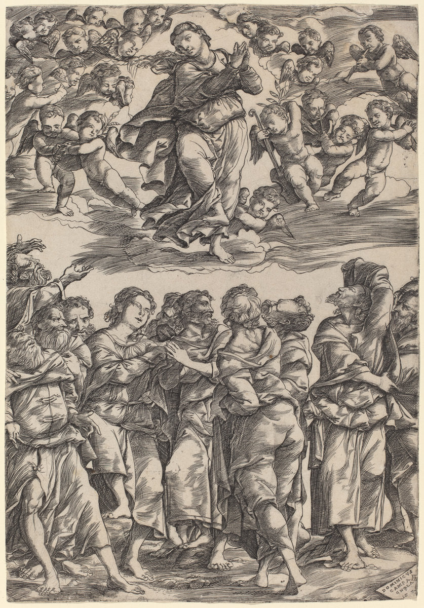The Assumption of the Virgin by Domenico Campagnola (Italian, before 1500 - 1564), 16X12"(A3)Poster Print