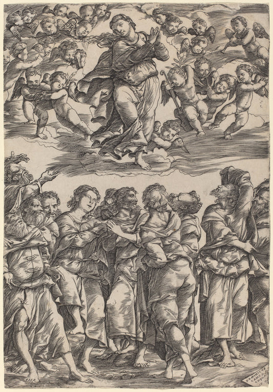 The Assumption of the Virgin by Domenico Campagnola (Italian, before 1500 - 1564), 16X12"(A3)Poster Print