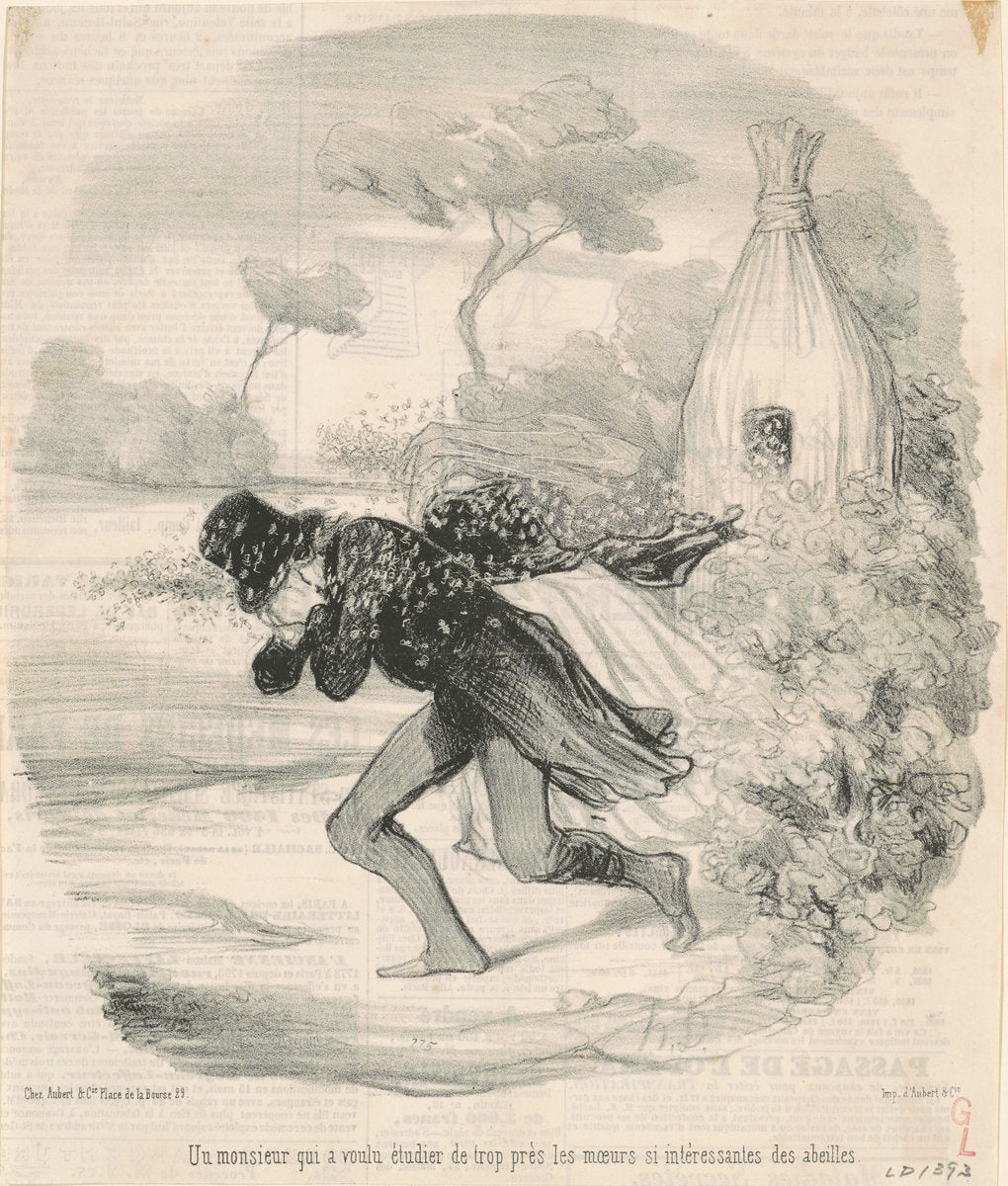 Un monsieur qui voulu étudier ... les moeurs ... des abeilles by Honoré Daumier (French, 1808 - 1879), 16X12"(A3)Poster Print