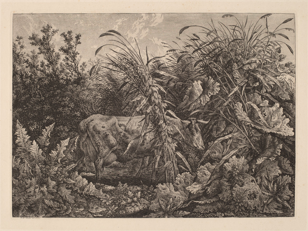 The Cow in the Swamp by Carl Wilhelm Kolbe, the elder (German, 1759 - 1835), 16X12"(A3)Poster Print