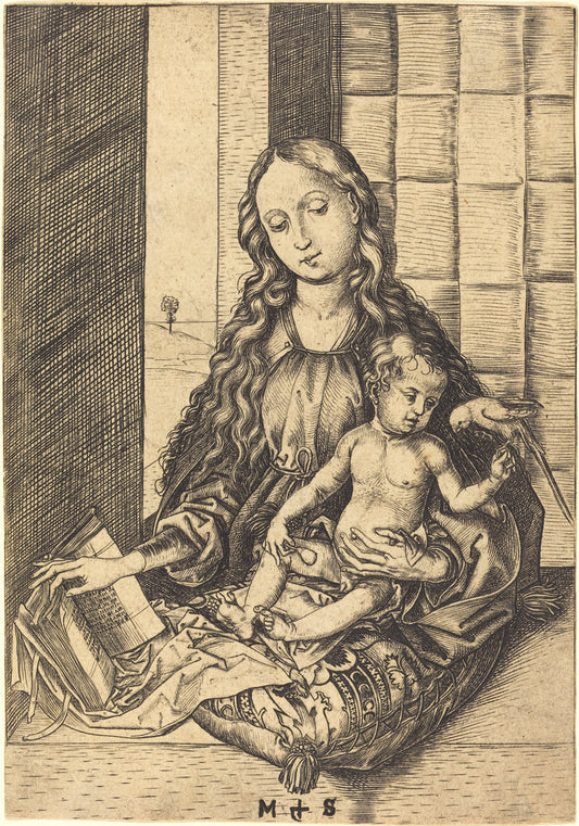 Madonna with a Parrot by Martin Schongauer (German, c. 1450 - 1491), 16X12"(A3)Poster Print