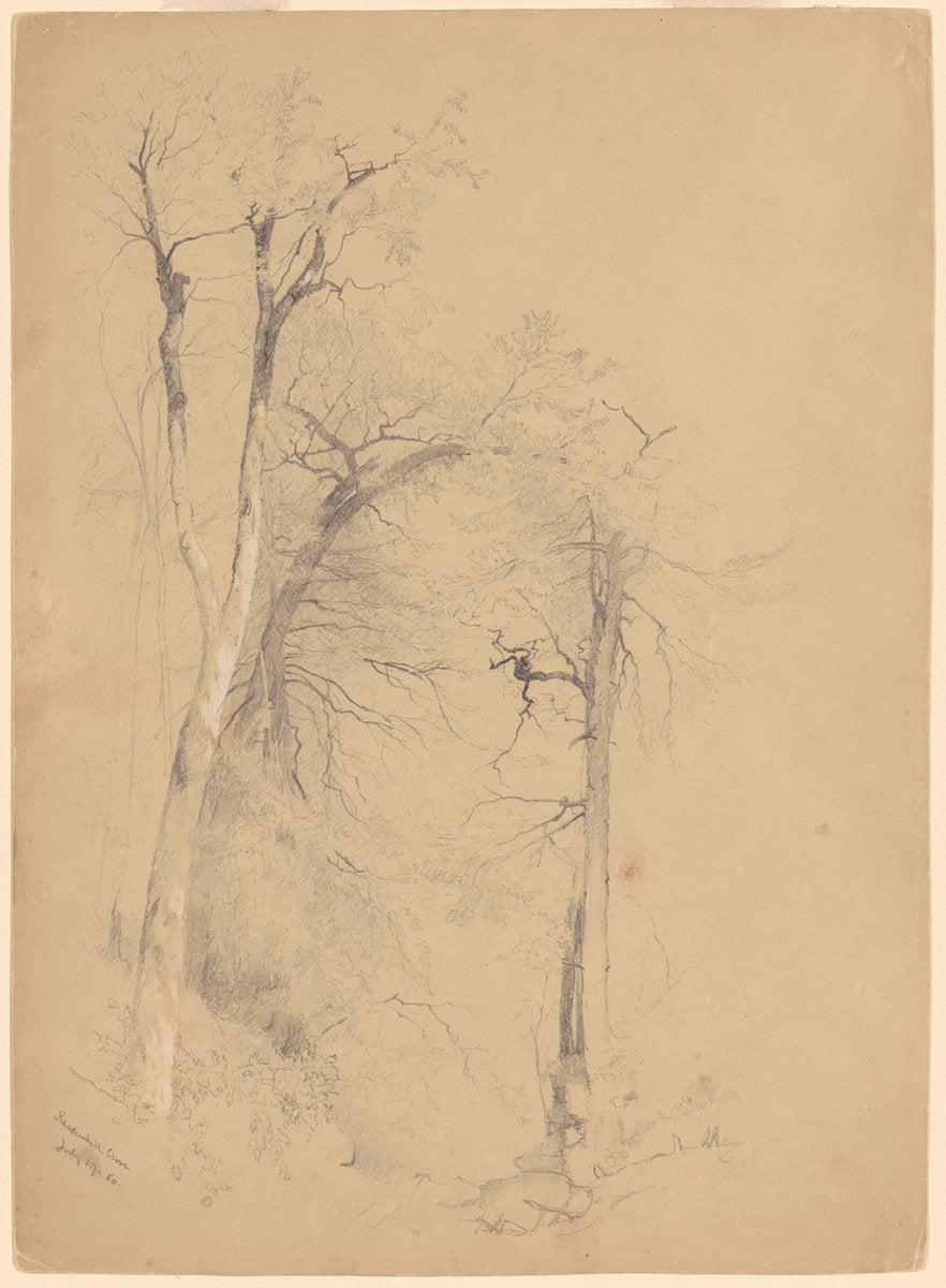 Kauterskill Clove by Jervis McEntee (American, 1828 - 1891), 16X12"(A3)Poster Print