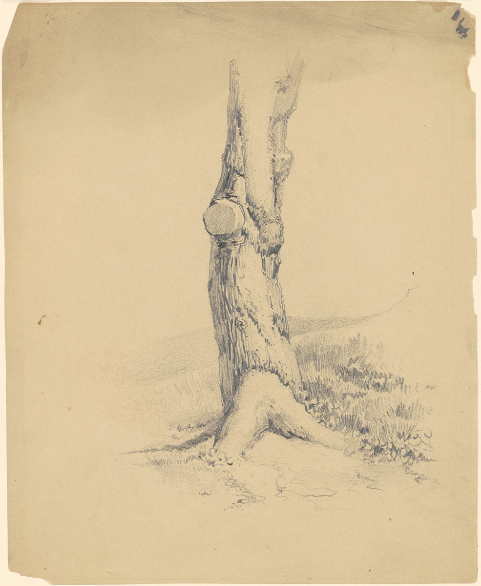 Old Tree Trunk by James Goodwyn Clonney (American, 1812 - 1867), 16X12"(A3)Poster Print
