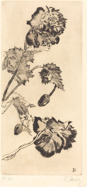 Flowers (Fleurs) by Ernest-Ange Duez (French, 1843 - 1896), 16X12"(A3)Poster Print