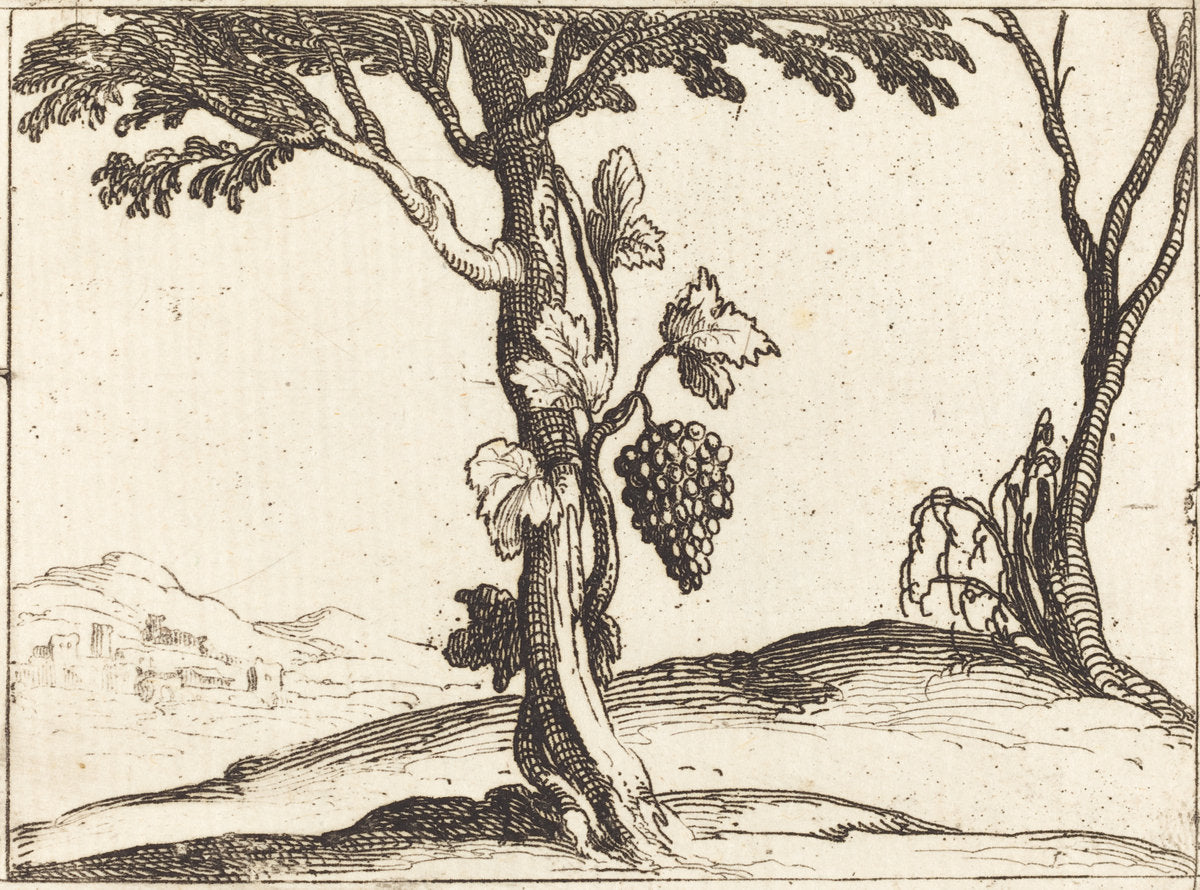 Bunch of Grapes by Jacques Callot (French, 1592 - 1635), 16X12"(A3)Poster Print