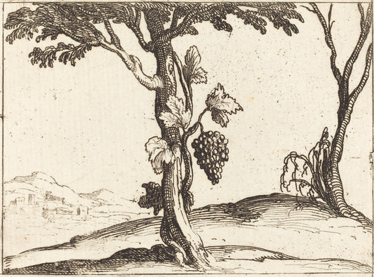 Bunch of Grapes by Jacques Callot (French, 1592 - 1635), 16X12"(A3)Poster Print