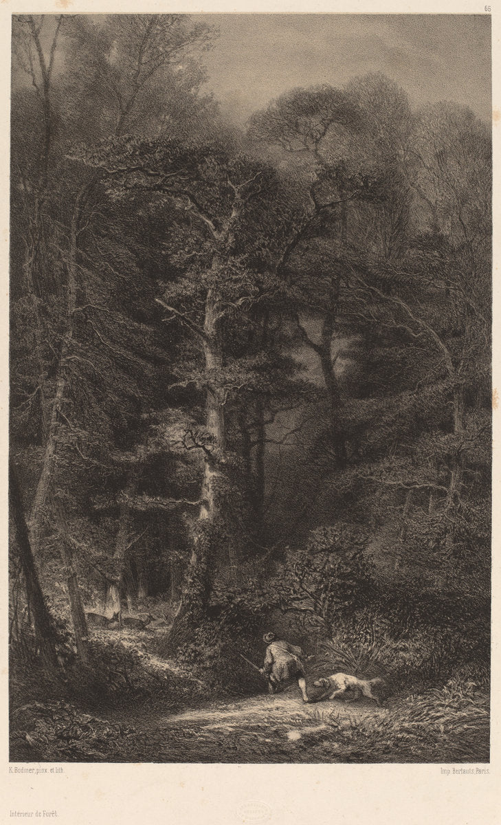 Intérieur de Forêt by Karl Bodmer (Swiss, 1809 - 1893), 16X12"(A3)Poster Print