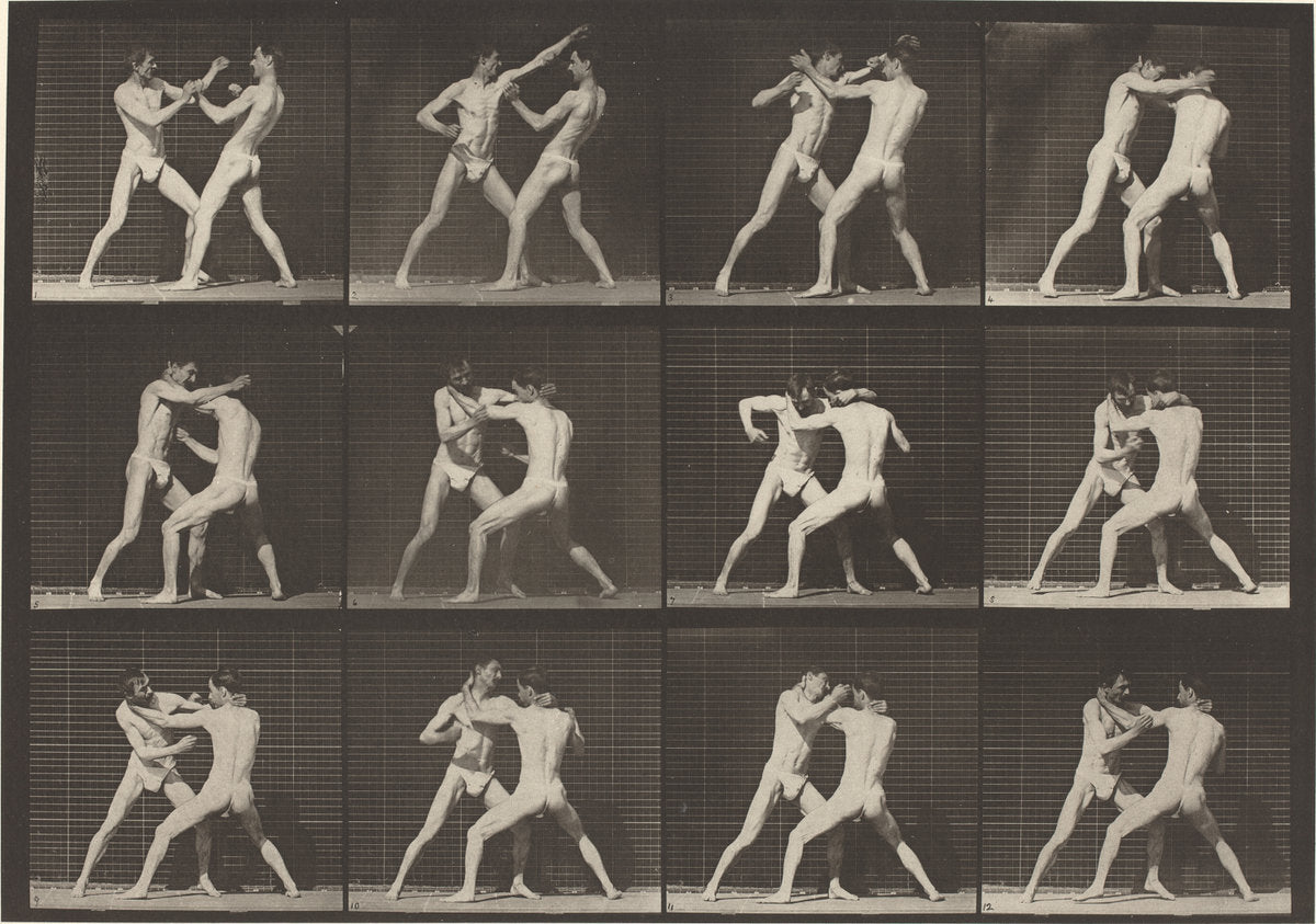 Animal Locomotion, Plate 340 by Eadweard Muybridge (American, born England, 1830 - 1904), 16X12"(A3)Poster Print