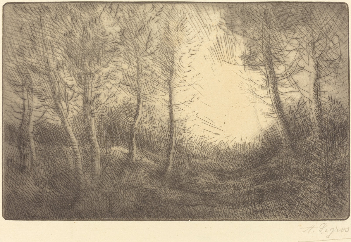 Sunrise, Woods of Clamard (Lever du soleil, bois de Clamard) by Alphonse Legros (French, 1837 - 1911), 16X12"(A3)Poster Print
