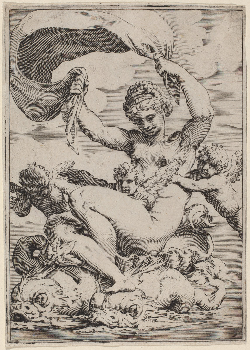 Venus or Galatea Supported by Dolphins by Agostino Carracci (Italian, 1557 - 1602), 16X12"(A3)Poster Print