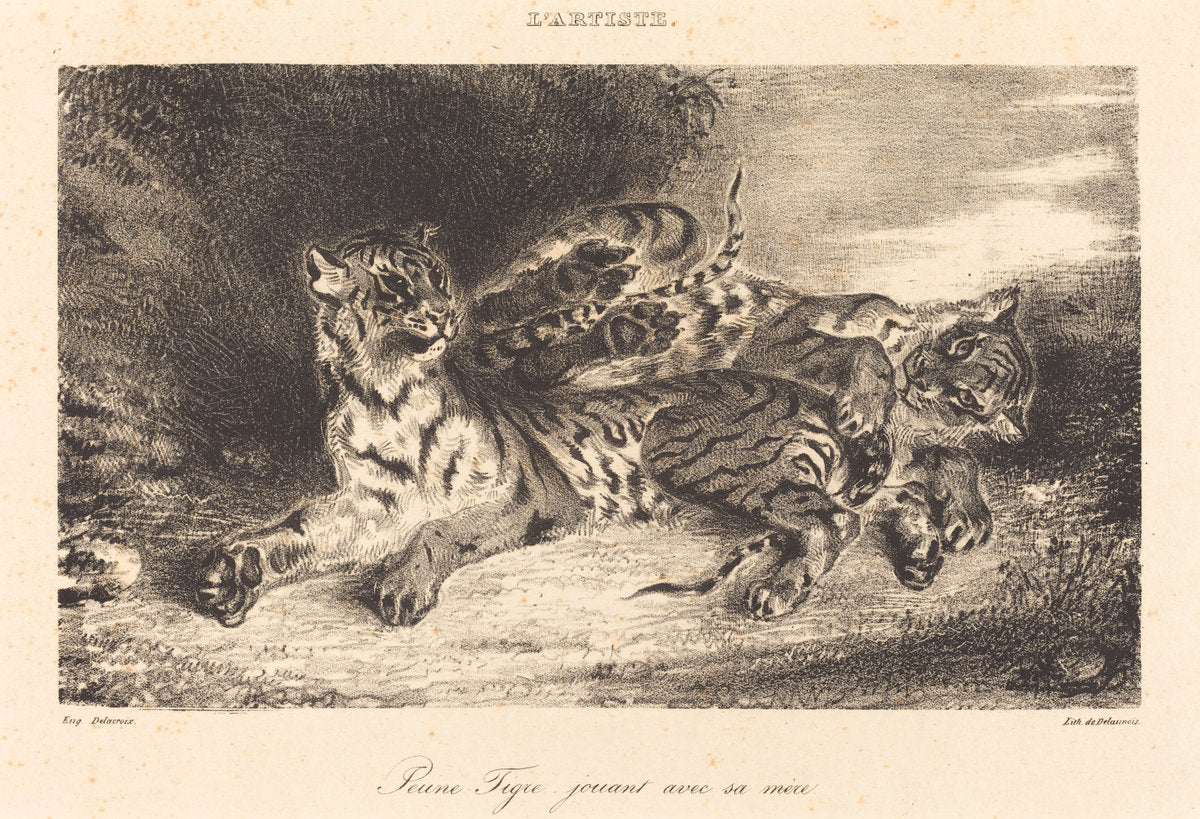 Young Tiger Playing with its Mother (Jeune tigre jouant avec sa mère) by Eugène Delacroix (French, 1798 - 1863), 16X12"(A3)Poster Print