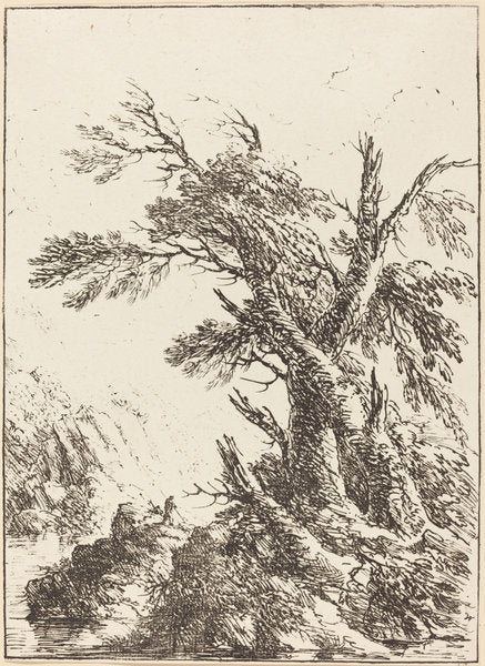 Landscape with Old Trees by Water by Henry Richard Greville, 3rd earl of Warwick (British, 1779 - 1853), 16X12"(A3)Poster Print