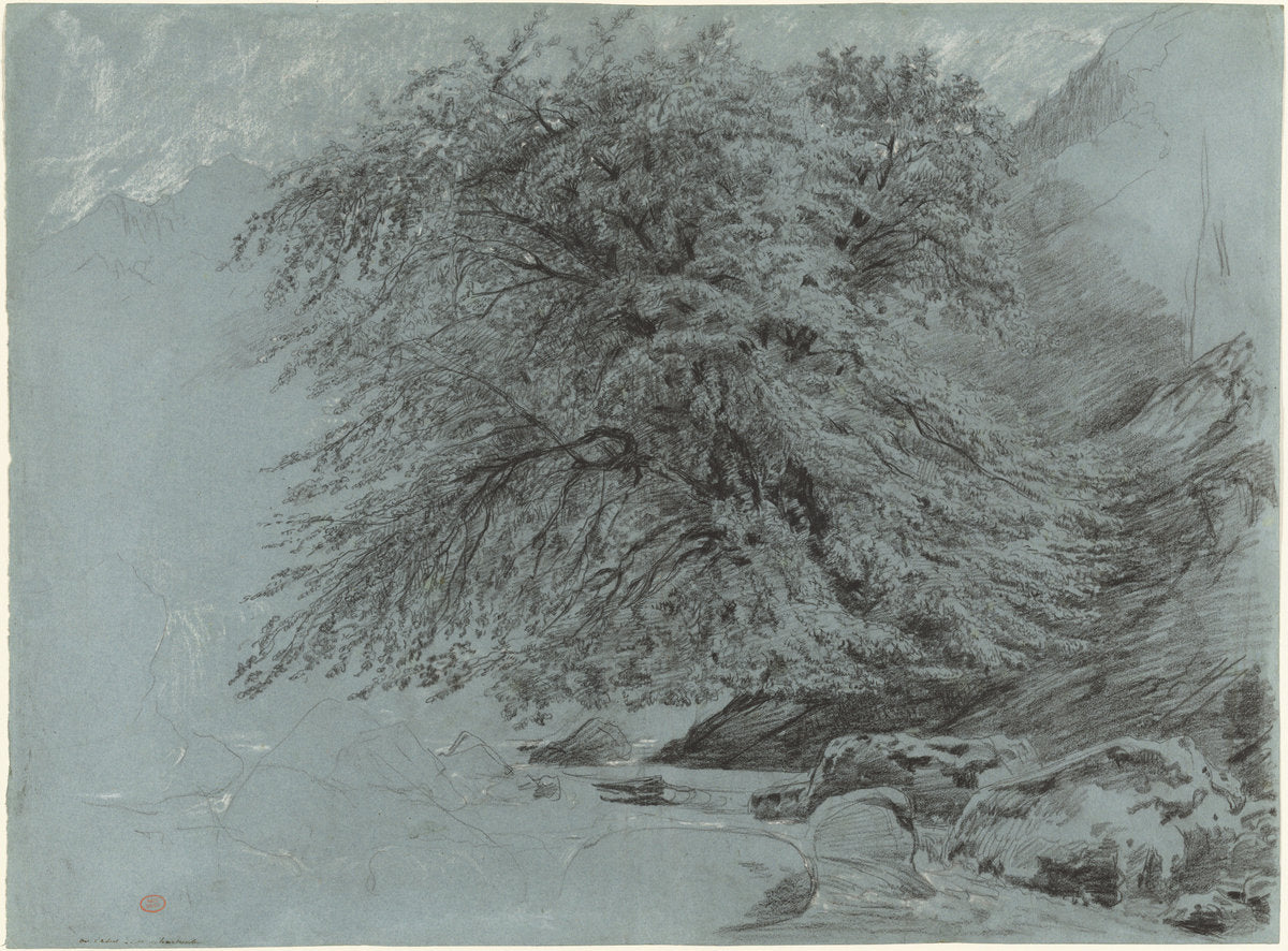 A Wild Beech in Full Leaf by Paul Huet (French, 1803 - 1869), 16X12"(A3)Poster Print