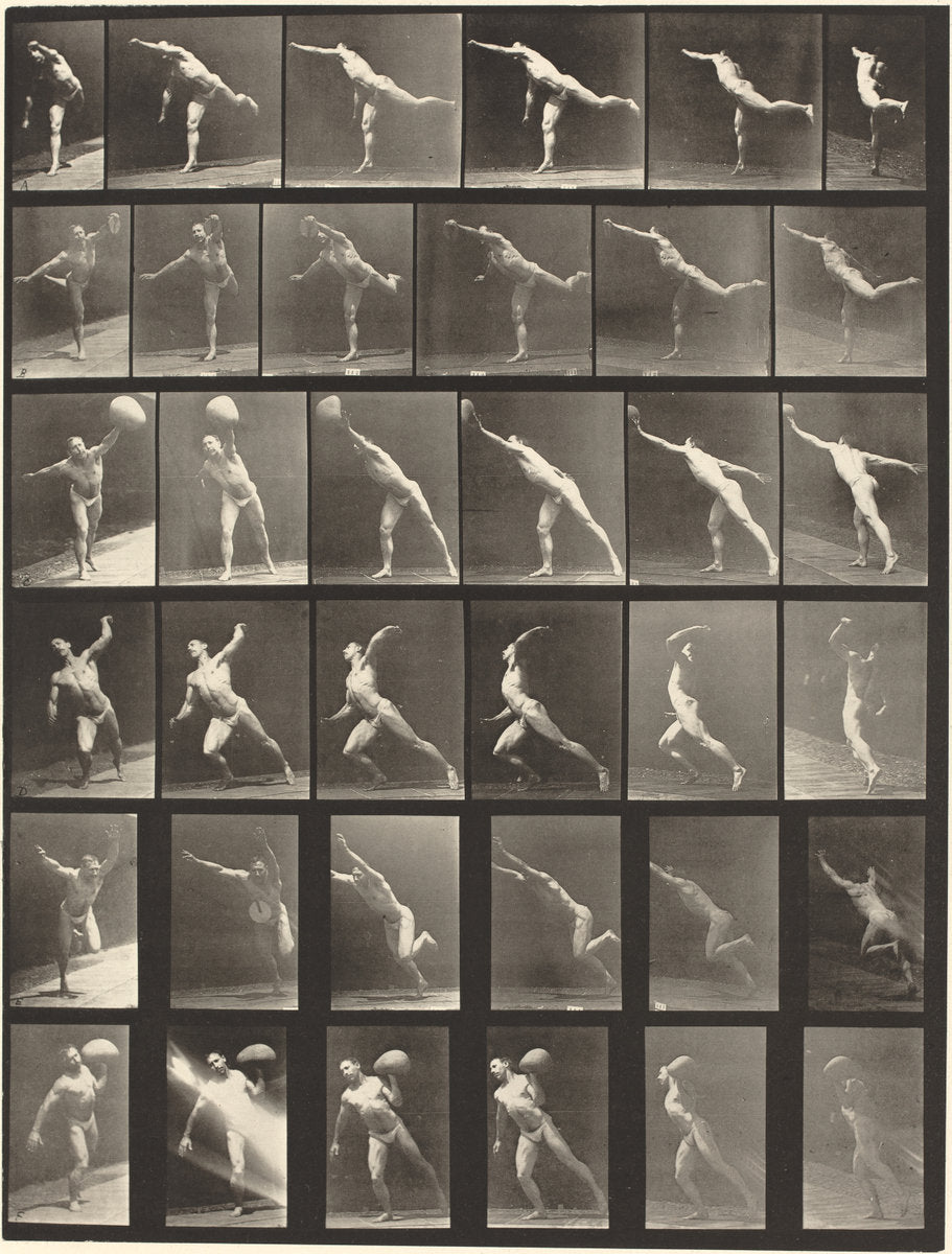 Animal Locomotion, Plate 523 by Eadweard Muybridge (American, born England, 1830 - 1904), 16X12"(A3)Poster Print