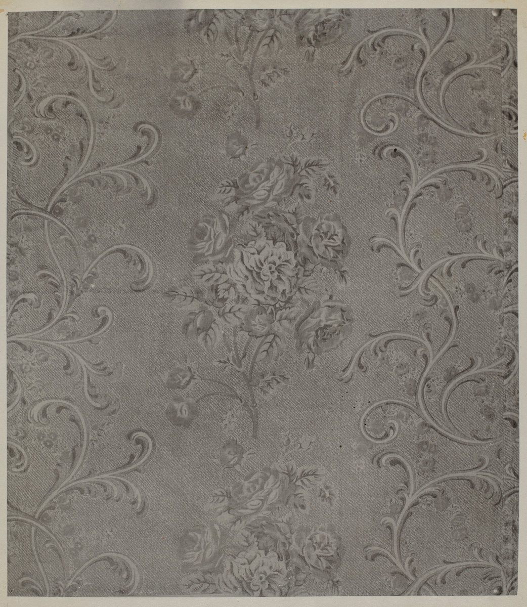 Printed Cotton by George Loughridge (American, active c. 1935), 16X12"(A3)Poster Print