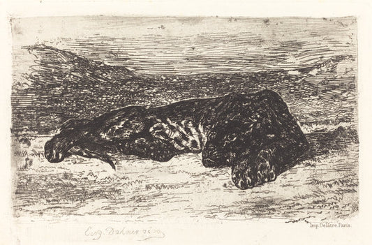Tiger Sleeping in the Desert by Eugène Delacroix (French, 1798 - 1863), 16X12"(A3)Poster Print