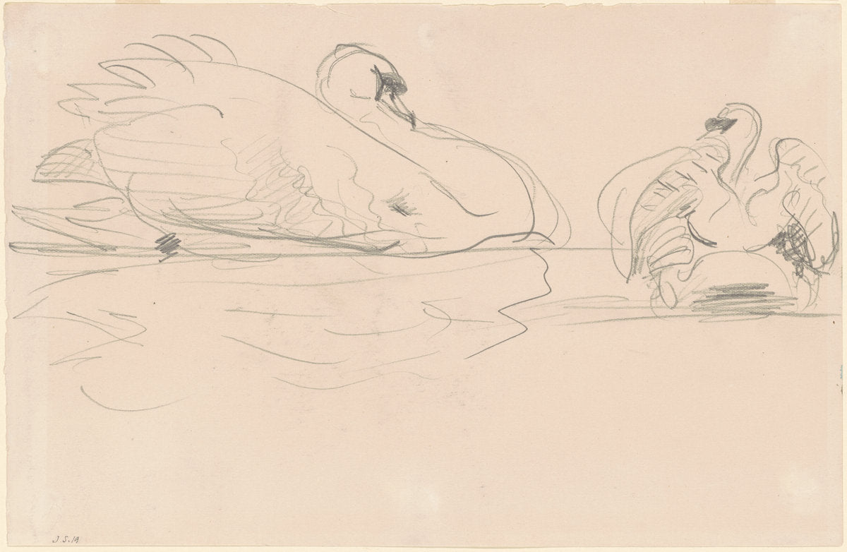 Swans in the Water by John Singer Sargent (American, 1856 - 1925), 16X12"(A3)Poster Print