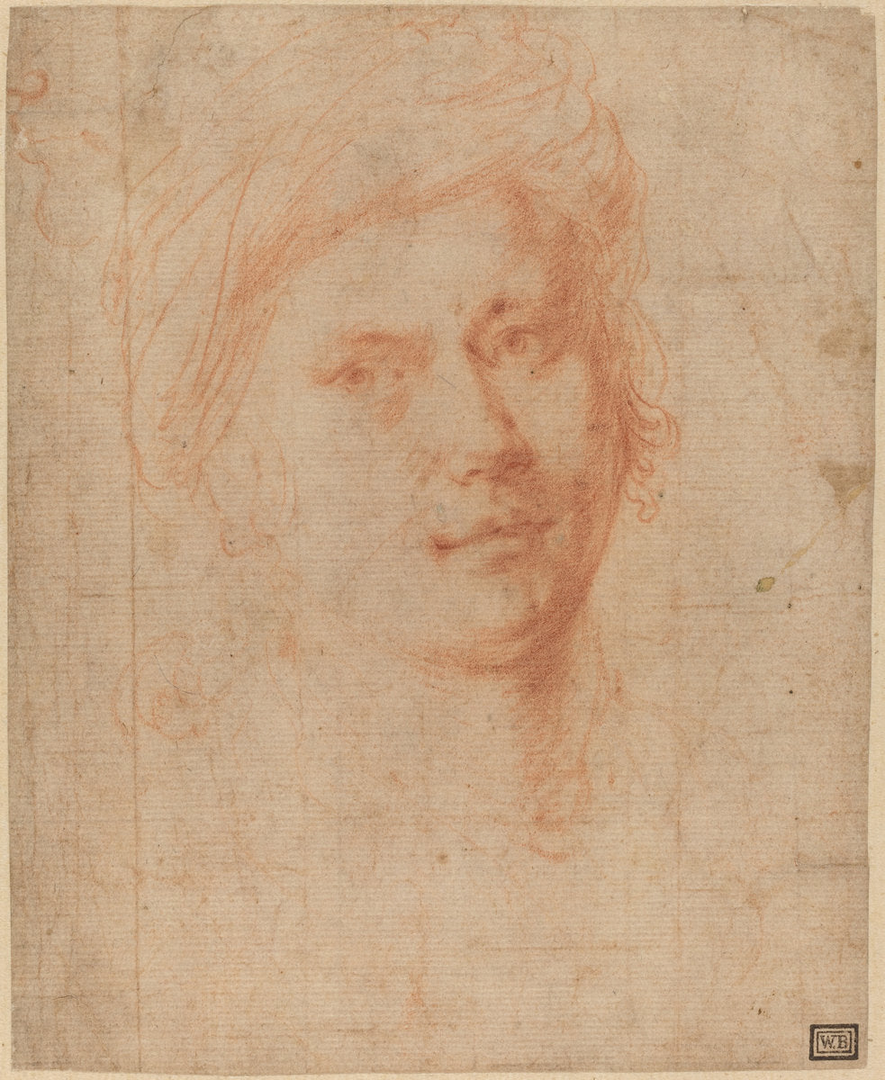 Head of a Youth by Alessandro Allori (Florentine, 1535 - 1607), 16X12"(A3)Poster Print