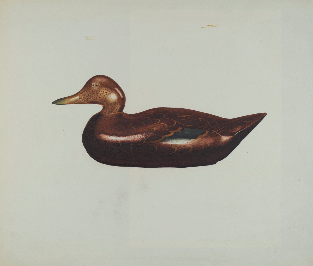 1935/1942 by American 20th Century (Wooden Duck), 16X12"(A3)Poster Print